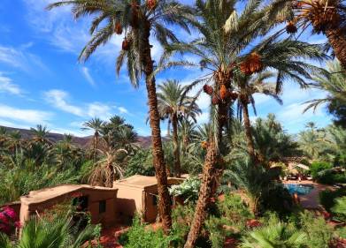 Guesthouse Riad Ecolodge Bab El Oued Maroc Oasis Picture