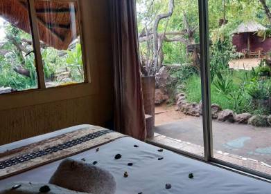Elephant Trail Guesthouse And Backpackers Picture