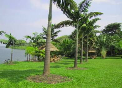Waterfront Resort Lake Kivu Picture