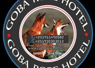 Goba Robe Hotel Picture