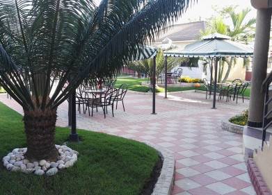 Green Palm Hotel Picture