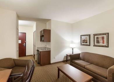 Comfort Suites San Antonio North - Stone Oak Picture