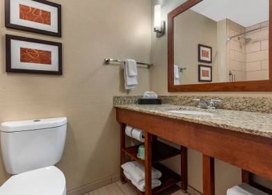 Comfort Suites Bridgeport - Clarksburg Picture