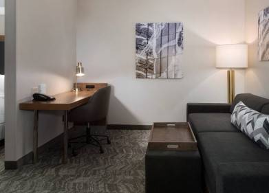 SpringHill Suites By Marriott Syracuse Carrier Circle Picture