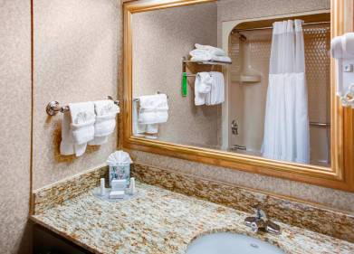 TownePlace Suites By Marriott Atlanta Buckhead Picture